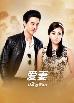 爱妻封面图