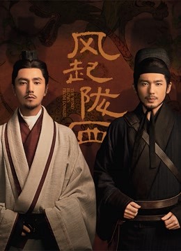 风起陇西封面图