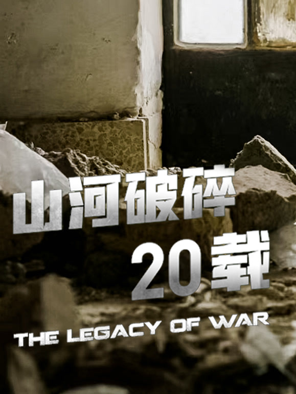 山河破碎20载封面图