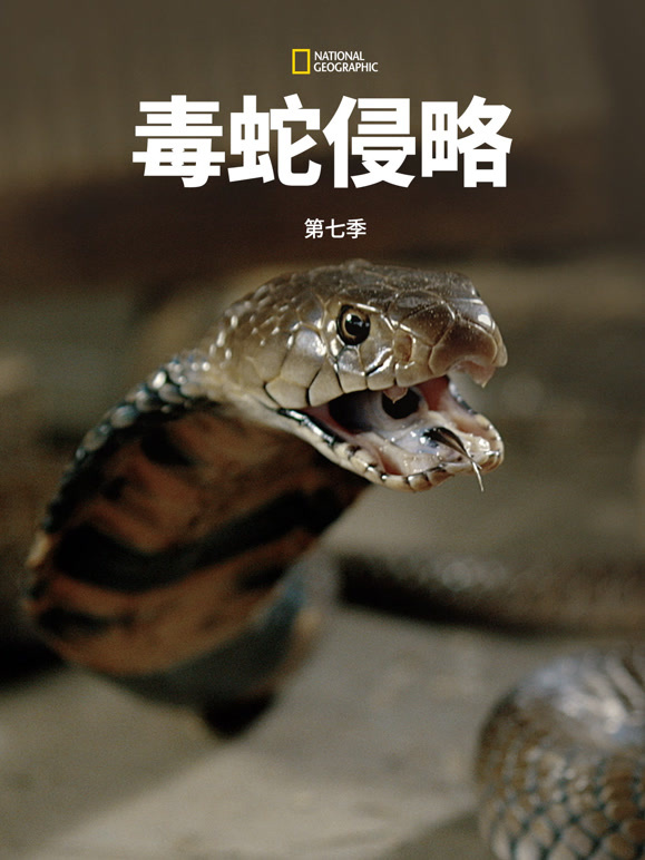 毒蛇侵略  第七季 版封面图