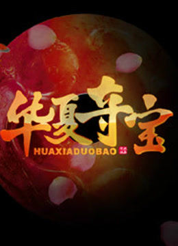 华夏夺宝封面图