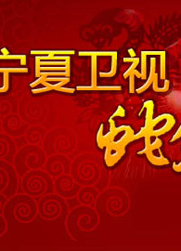 宁夏卫视2013春晚封面图