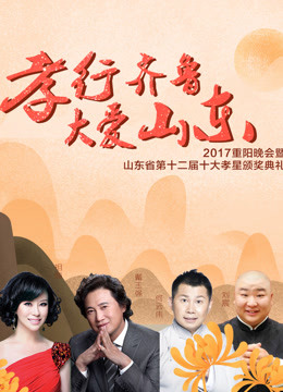 2017山东卫视重阳晚会封面图