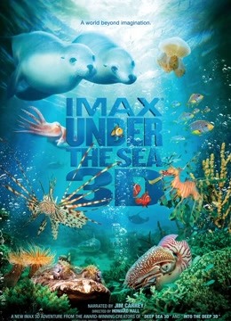 海底世界3D封面图