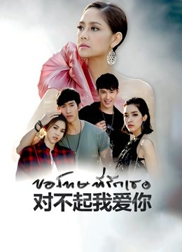 泰语版对不起我爱你封面图