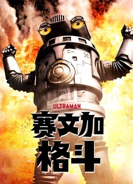 赛文加格斗封面图