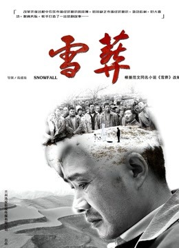 雪:葬封面图