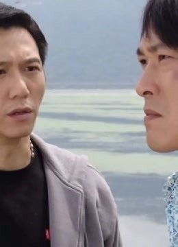 兄弟无间封面图