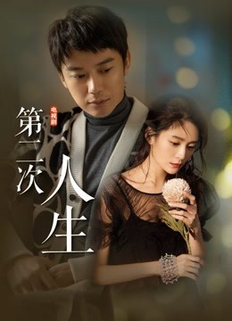 第二次人生封面图