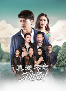 真爱不忘版封面图