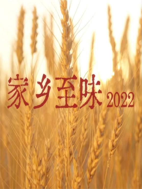 家乡至味2022封面图