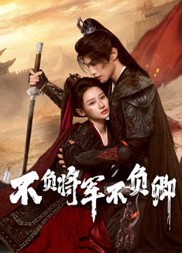 不负将军不负卿封面图