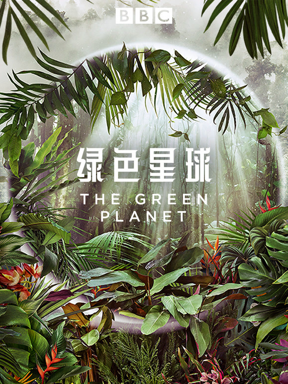 绿色星球封面图