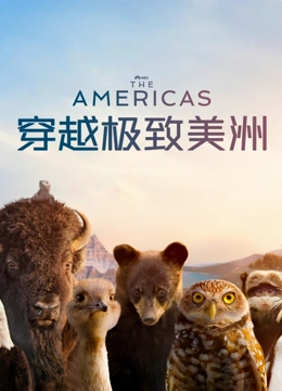 穿越极致美洲封面图