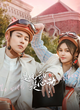 是风动、是心动封面图