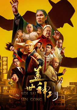 盖世神功封面图