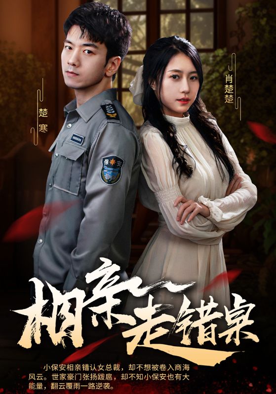 相亲走错桌封面图