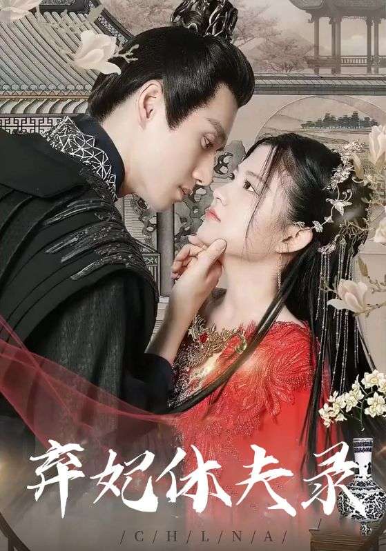 弃妃休夫录封面图