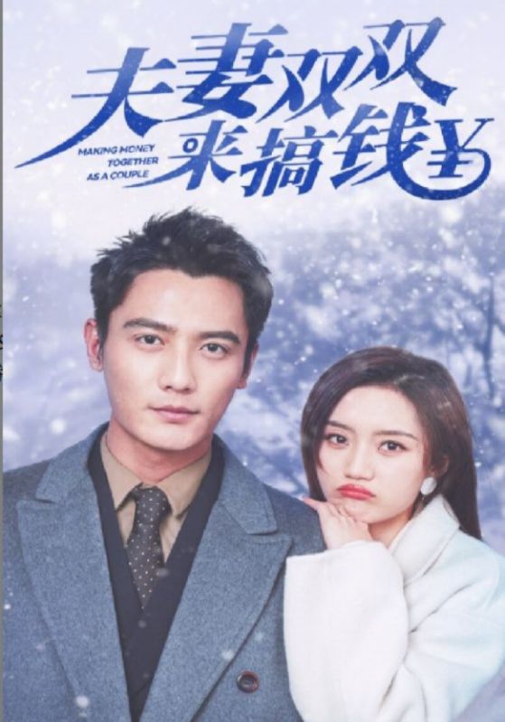 夫妻双双来搞钱封面图