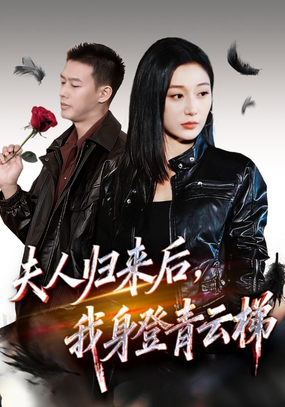 夫人归来后我身登青云梯封面图