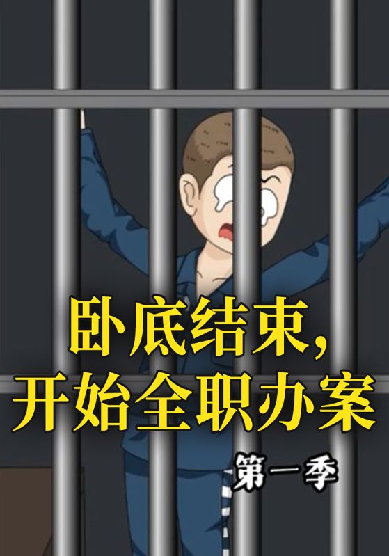 卧底结束开始全职办案封面图