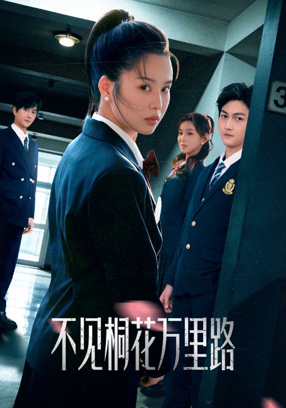 不见桐花万里路封面图