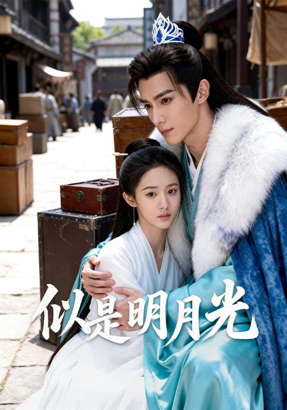 似是明月光封面图