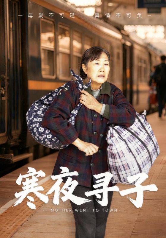 寒夜寻子封面图