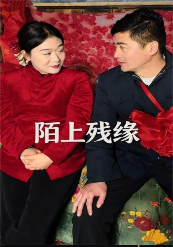 陌上残缘封面图