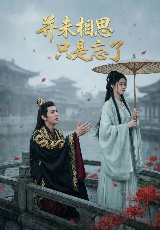 并未相思只是忘了封面图