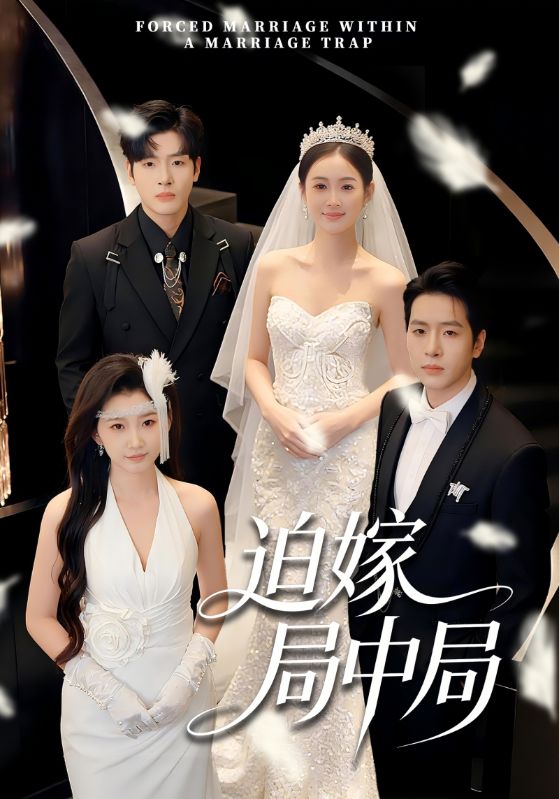 迫嫁局中局封面图