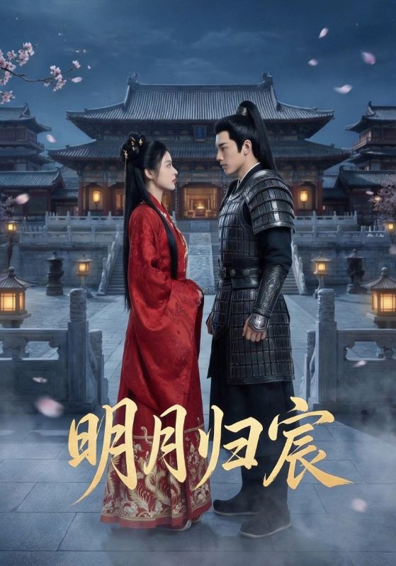 明月归宸封面图
