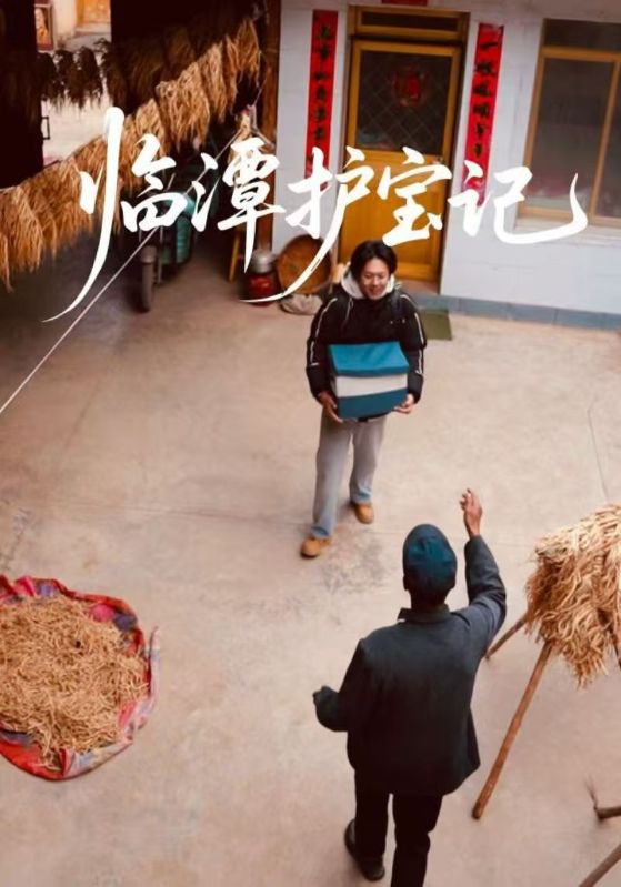 临潭护宝记封面图