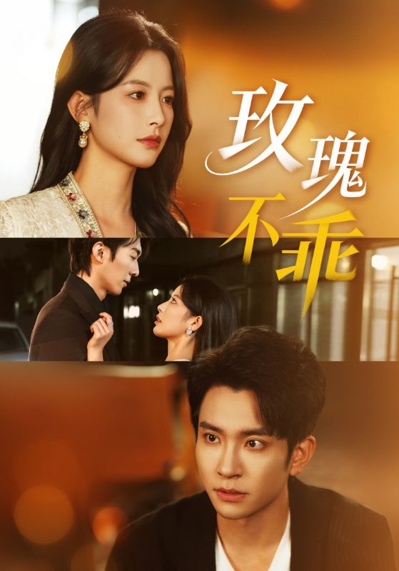 玫瑰不乖封面图