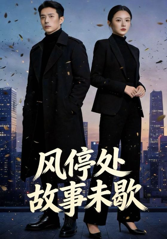 风停处故事未歇封面图