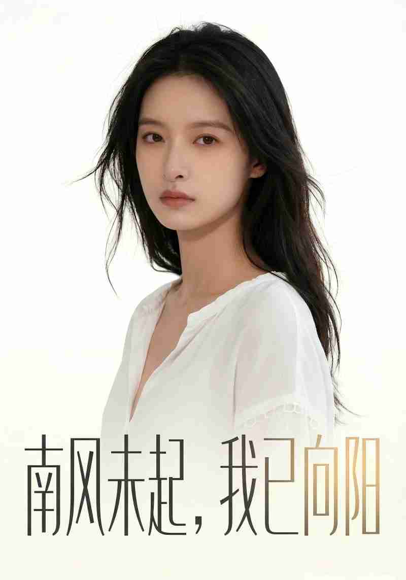 南风未起我已向阳封面图