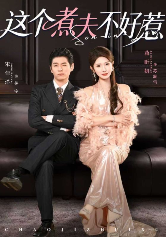 这个煮夫不好惹封面图