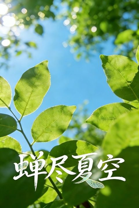 蝉尽夏空封面图