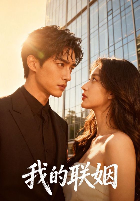 我的联姻封面图