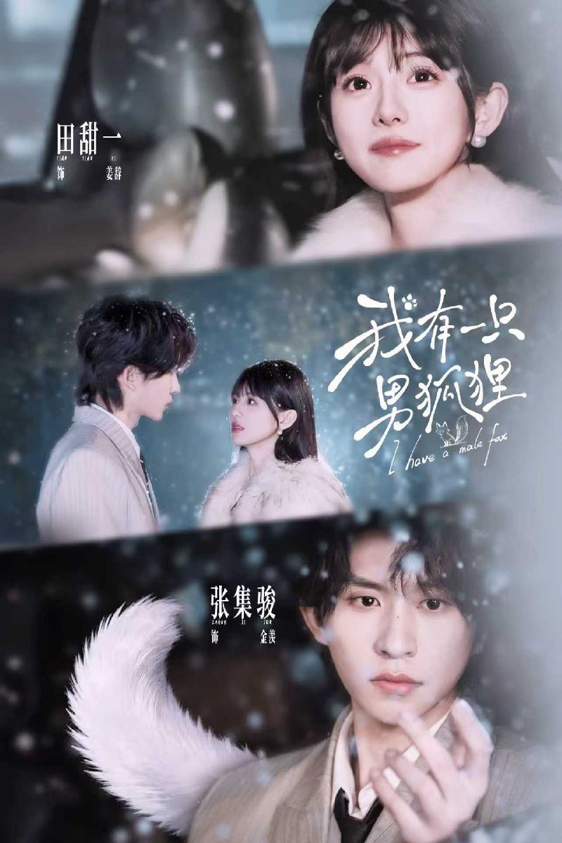 我有一只男狐狸封面图