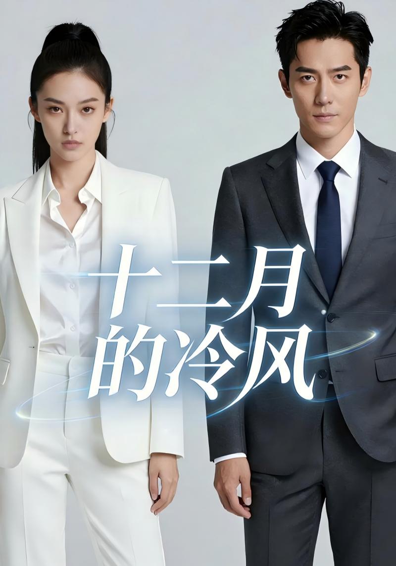 十二月的冷风封面图