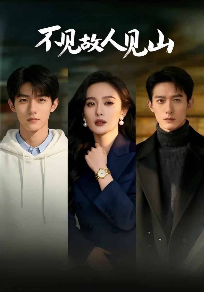 不见故人见山封面图