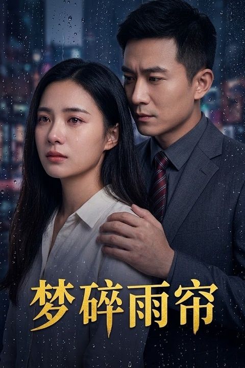 梦碎雨帘封面图