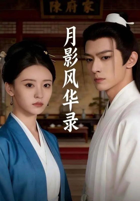 月影风华录封面图
