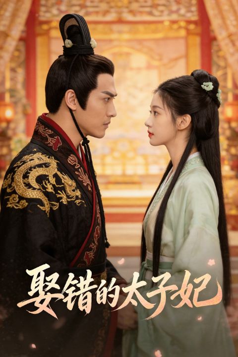 娶错的太子妃封面图