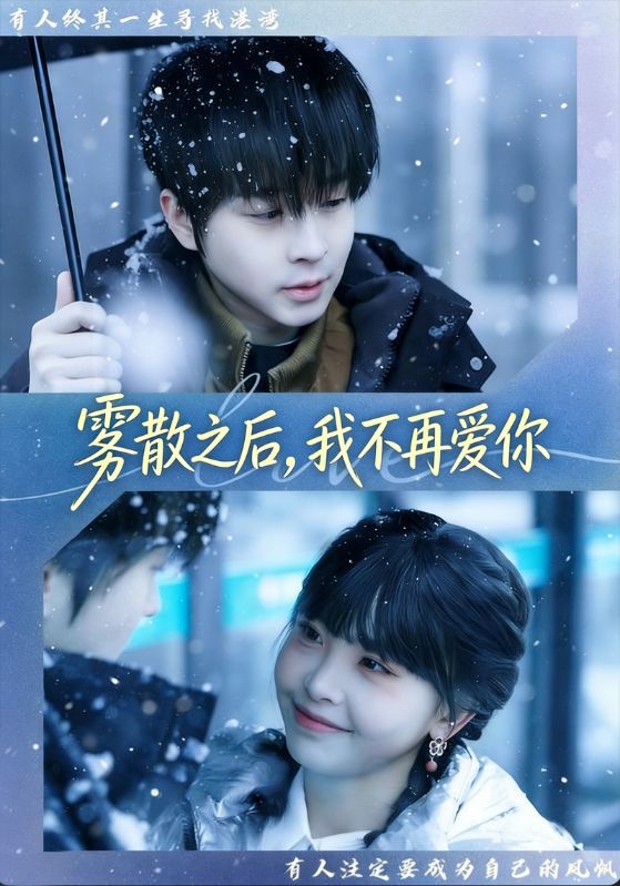 雾散之后我不再爱你封面图