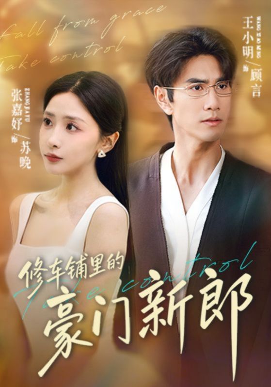 修车铺里的豪门新郎封面图