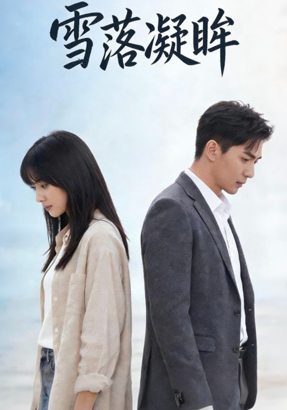 雪落凝眸封面图