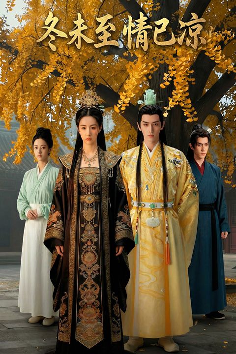 冬未至情已凉封面图