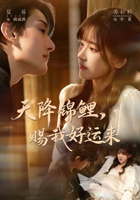 天降锦鲤赐我好运来封面图